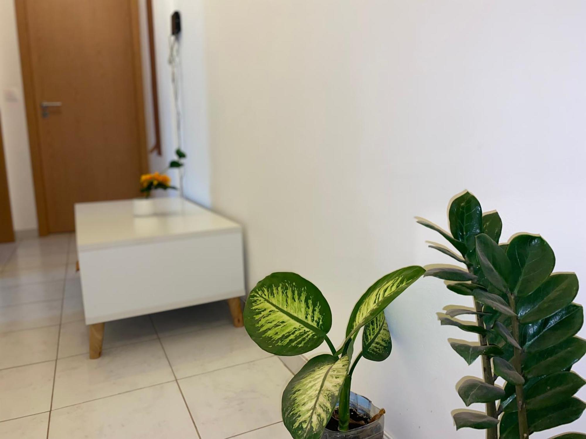 Apartamento T2 Equipado E Aconchegante. Praia Buitenkant foto